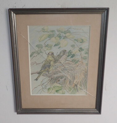 ČÍŽEK LESNÍ - ŽIDLICKÝ JIŘÍ