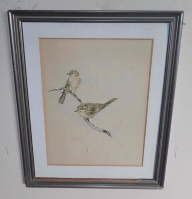 ČÍŽKOVÉ NA VĚTVIČCE - ŽIDLICKÝ JIŘÍ