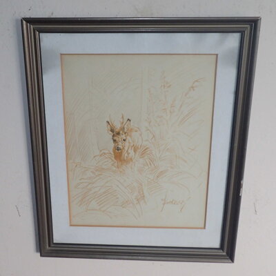 SRNEC VE VYSOKÉ TRÁVĚ - ŽIDLICKÝ JIŘÍ