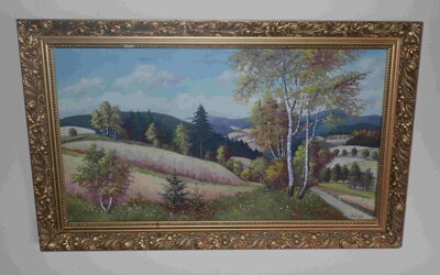 BŘÍZY V KRAJINĚ - DOBIÁŠ FRANTIŠEK
