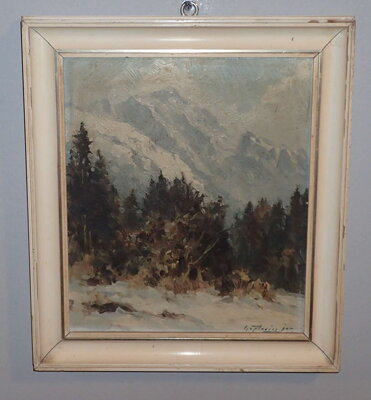 VYSOKÉ TATRY JAVOROVÁ DOLINA LADOVÝ ŠTÍT - ČAPLOVIČ PAVOL