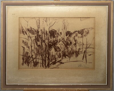 CHALUPA UKRYTÁ VE STROMECH - RASZKA RAŠKA PAVEL VLADIMÍR JOSEF JÓZEF