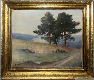 BOROVICE U POLE - SIGNOVÁN