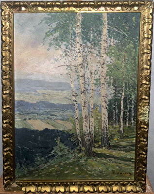 BŘÍZY NA SVAHU - KNOTEK O.