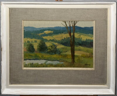 VÝHLED DO KRAJE - SADOVSKÝ FRANTIŠEK