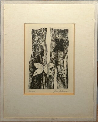 MOTÝLI NA STROMU - ADAMCOVÁ JIŘINA