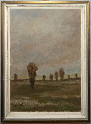 STROMY V KRAJINĚ - BRUNNER JAROMÍR