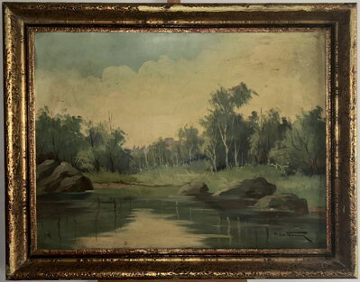 KAMENY V ŘECE - TOMAN FRANTIŠEK SYLVA