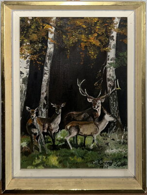 JELEN A SRNY MEZI BŘÍZAMI - ČERNÝ K.