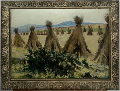 SNOPY NA POLI - ŠTEMBERA JOSEF