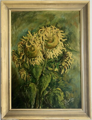 ÚKLON SLUNEČNIC - JÜPTNER A.