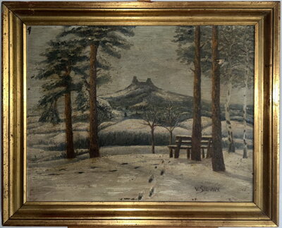 TROSKY V DÁLI V ZIMĚ - ŠILHAVÝ VLADIMÍR