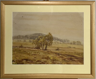 STROMY V KRAJINĚ - ŠKUDLA RUDOLF