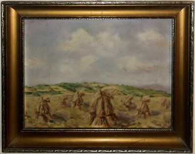 SNOPY NA POLI - NEZNÁMÝ AUTOR