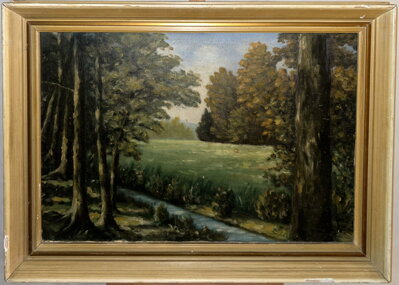 POTOK V LESNÍ KRAJINĚ - SIGNOVÁN