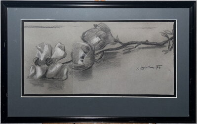 TULIPÁNY - DRHA JOSEF GRUBER