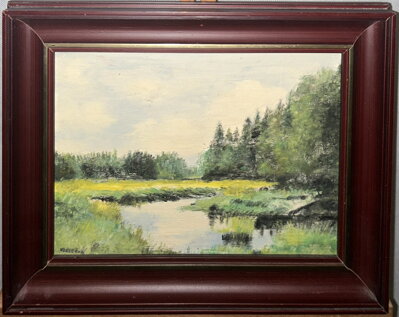 MEANDRUJÍCÍ ŘÍČKA V LESE - KLETEČKA