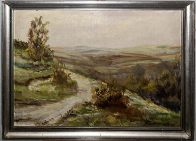 CESTA V KOPCOVITÉ KRAJINĚ - STEIN VÁCLAV