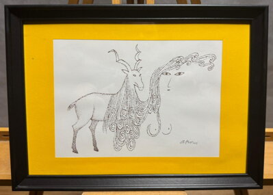 DIVOKÁ KOZA - BORN ADOLF