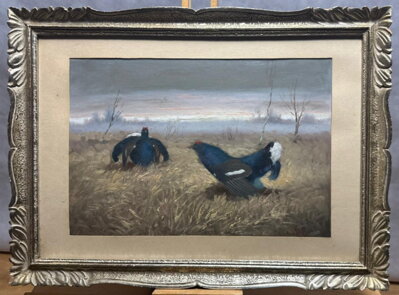 TETŘEVÍ TOK Z PODKRKONOŠÍ - HAVLATA KAREL