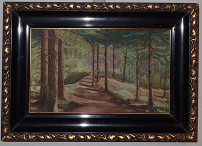 PROSLUNĚNÝ LES - HOLUB JOSEF