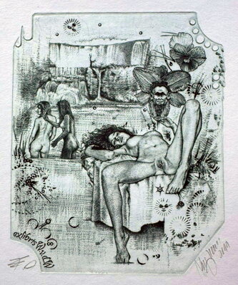 AKT - KOUPAJÍCÍ SE NYMFY - HUJBER GÜNTER