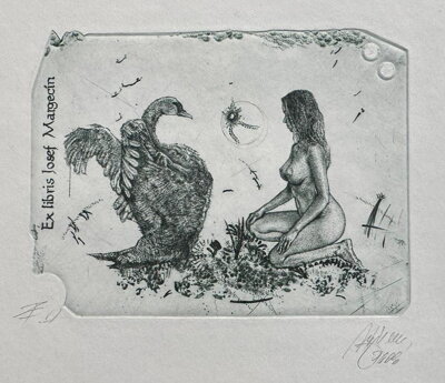 AKT - LEDA S LABUTÍ I. - HUJBER GÜNTER