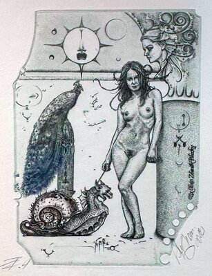 AKT NA PROCHÁZCE S MALÝM DRAKEM - HUJBER GÜNTER