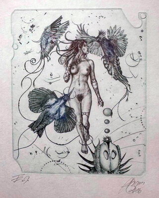 AKT RAJKY - HUJBER GÜNTER