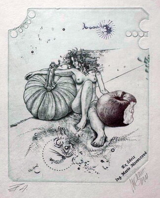 ROČNÍ OBDOBÍ PODZIM - HUJBER GÜNTER