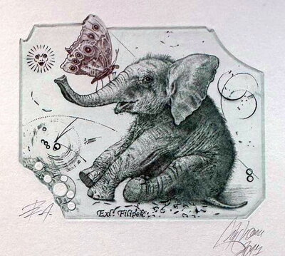 SLŮNĚ - HUJBER GÜNTER