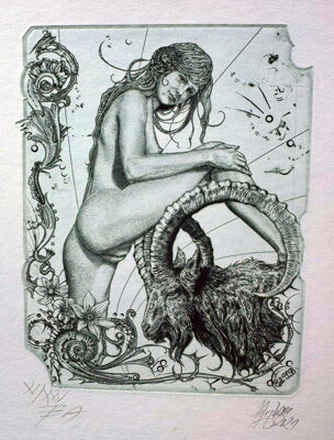 AKT - ZNAMENÍ KOZOROH - HUJBER GÜNTER