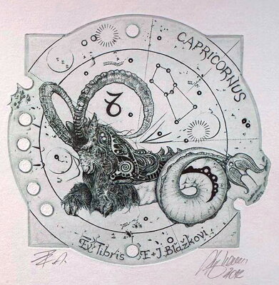 ZVĚROKRUH ZNAMENÍ KOZOROH - HUJBER GÜNTER