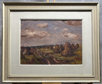 SNOPY V KRAJINĚ - JUŠKA JAN