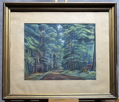 LES V BOUBÍNSKÉM PRALESU - KALOUS ANTONÍN