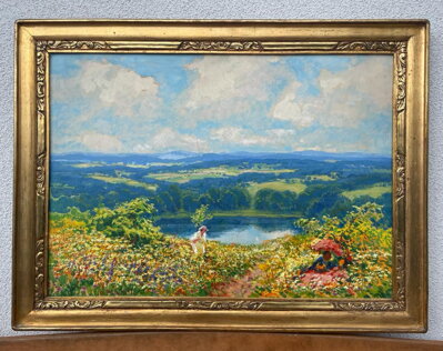 KVETOUCÍ MEZE POD ZVIČÍNSKÝM NEBEM - LANGER KAREL