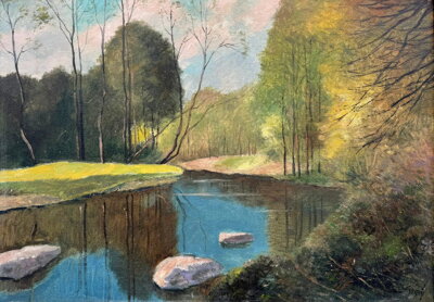 PROSLUNĚNÉ STROMY U ŘEKY - LESNÝ LEDERER MILOSLAV