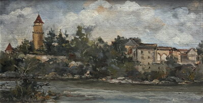 HRAD ZVÍKOV - NOŽIČKOVÁ STEHLÍKOVÁ DANUŠE