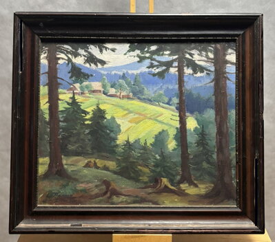 MORAVSKOSLEZSKÉ BESKYDY GRUŇ - PARMA LEOPOLD