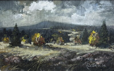 ŠUMAVSKÁ KRAJINA - POLATA KAREL