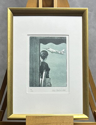 DÍVKA A STÍHAČKA - PTÁČEK PETR