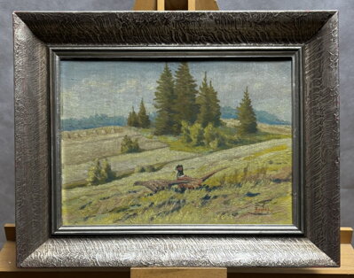 BAŽANTI NA STRÁNI - REJLEK