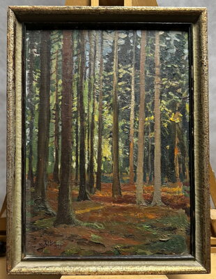 BŘEZINA VITANOVSKÁ - RYTÍŘ VÁCLAV