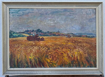 PODMOKY, VELENICE  - VACKE JOSEF