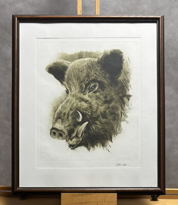 DIVOČÁK - VAIC ALEŠA