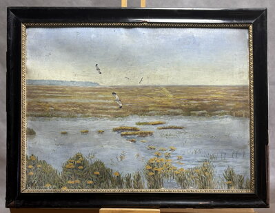 ČEJKY – PTÁCI NAD VODOU - WURZINGER