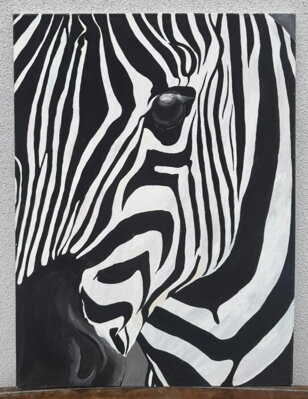 ZEBRA - PRUHY V POHYBU - NEZNÁMÝ AUTOR