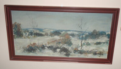 ZIMNÍ VYSOČINA - ŠTURC JAN