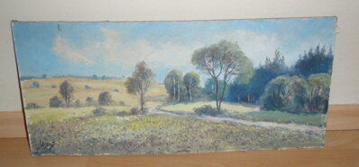 CESTA KRAJINOU - LESNÝ MILOSLAV