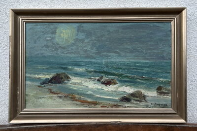 VLNY U POBŘEŽÍ - ALEKOV NAPOLEON